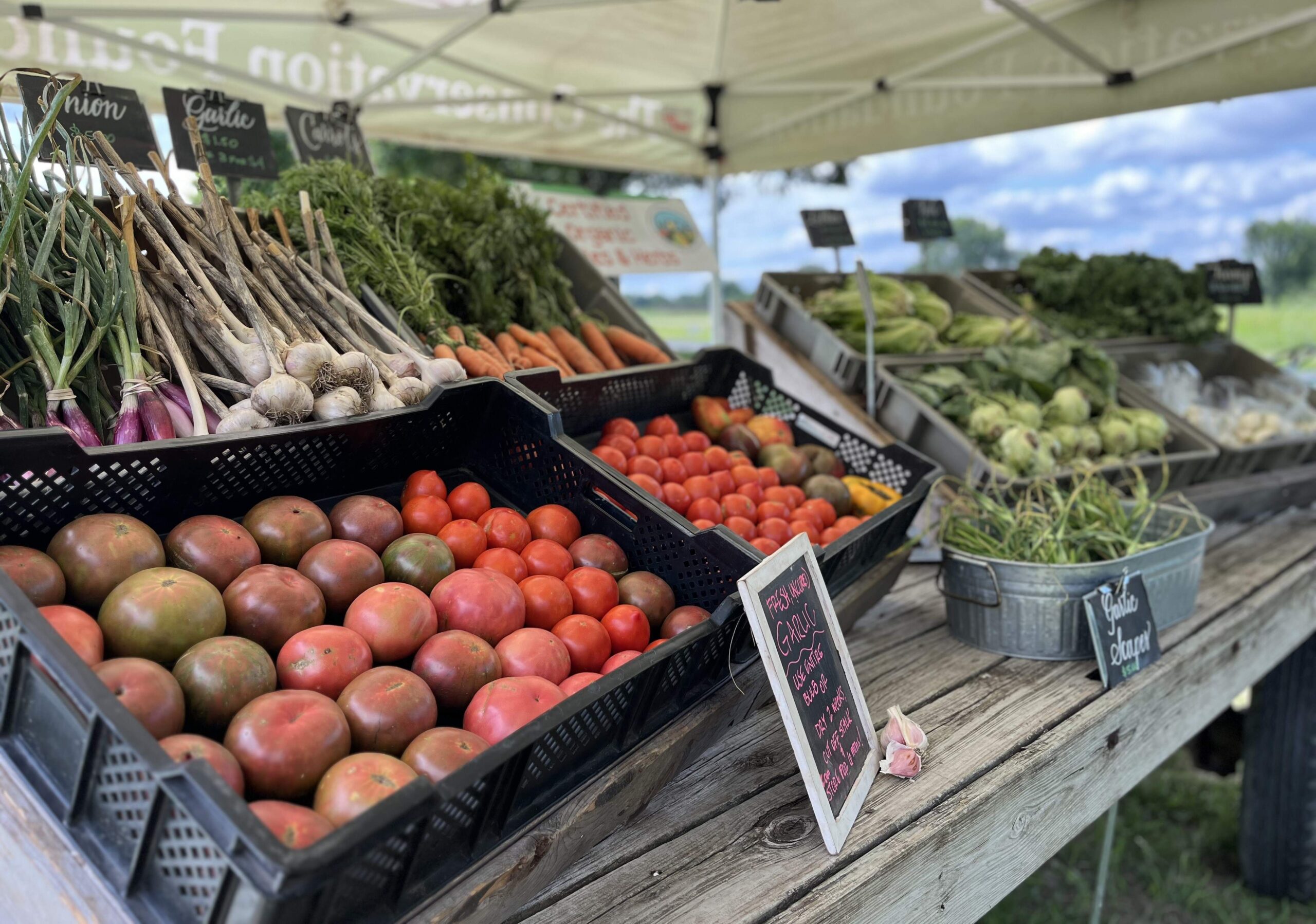 Sunrise Meadows Farm